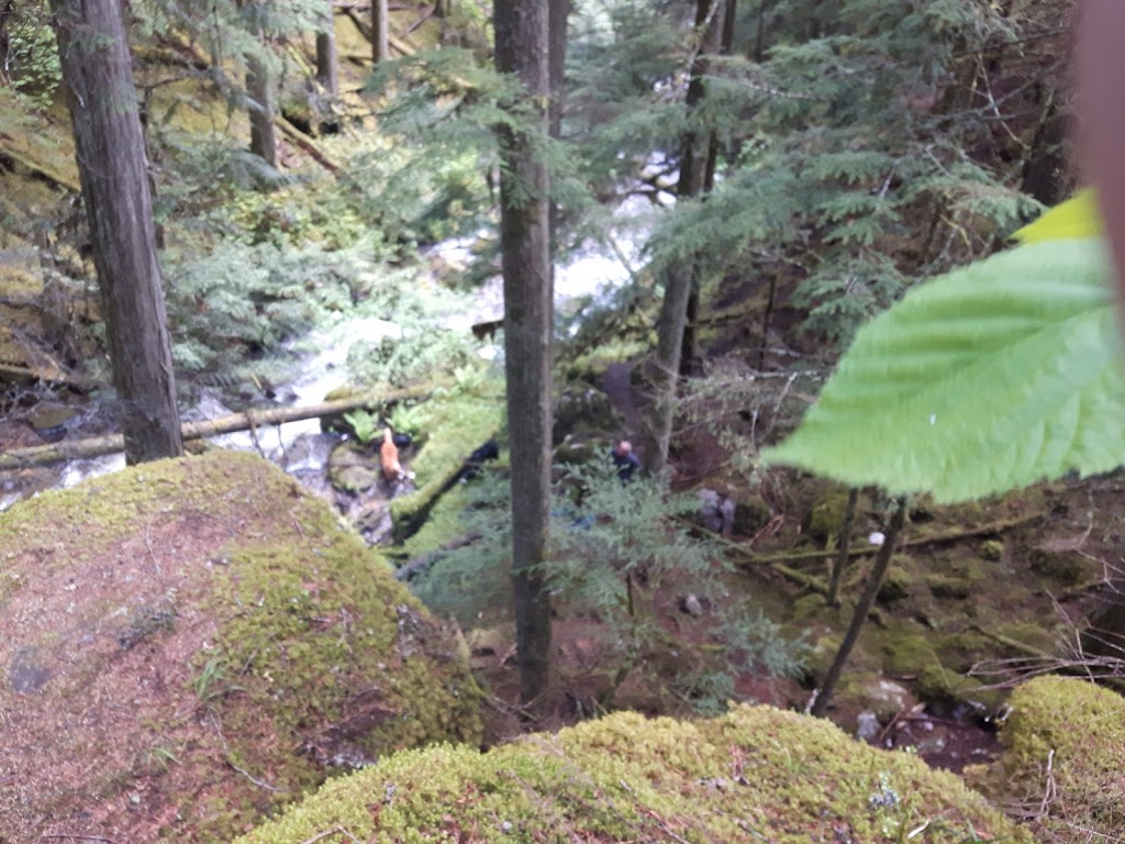 Owlhead Creek Bed and Breakfast | 1996 Blatchford Rd, Sicamous, BC V0E 2V1, Canada | Phone: (250) 836-2226