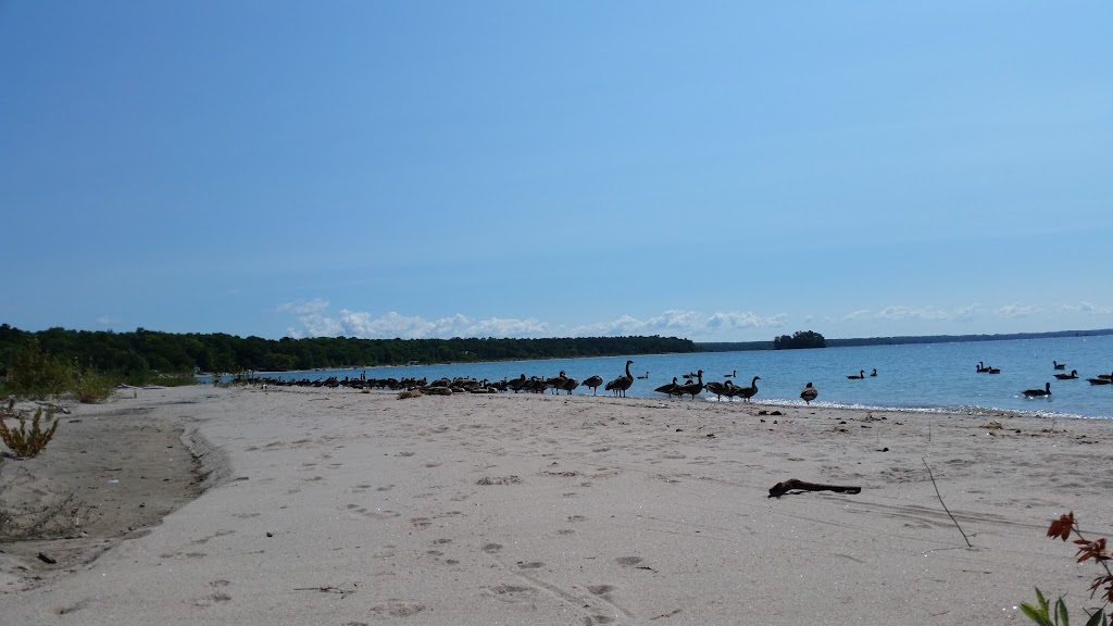 Crawlies | 2 Greentree Ln, Penetanguishene, ON L9M 1R3, Canada | Phone: (705) 427-0696