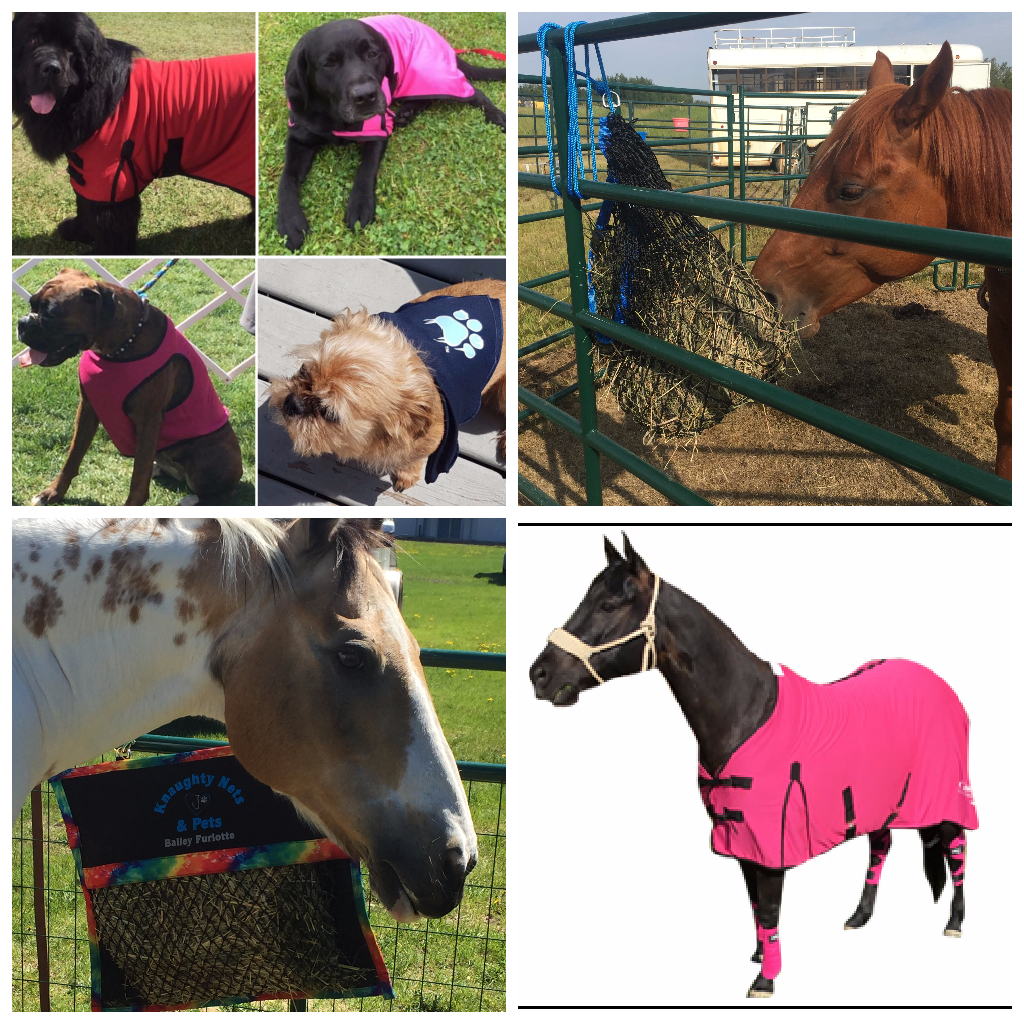 Knaughty Nets & Pets | RR 1 Site 12 Comp 16 241009, Hwy 814, Millet, AB T0C 1Z0, Canada | Phone: (780) 235-8844