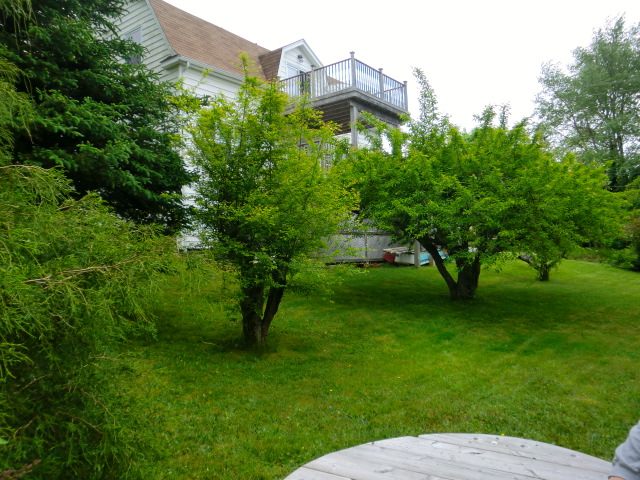 Ye Olde Barne | 94 Tremont St, Chester, NS B0J 1J0, Canada | Phone: (902) 456-2713