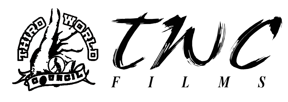Freeze Flame Productions Inc. | 245 Westwood Rd #310, Guelph, ON N1H 7H5, Canada | Phone: (416) 697-1737