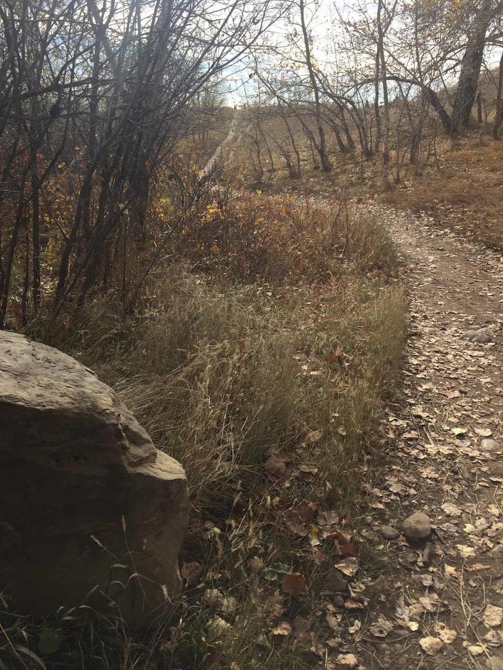 Edworthy Off Leash Park | 5427-5539 Edworthy St SW, Calgary, AB T3C 3B2, Canada