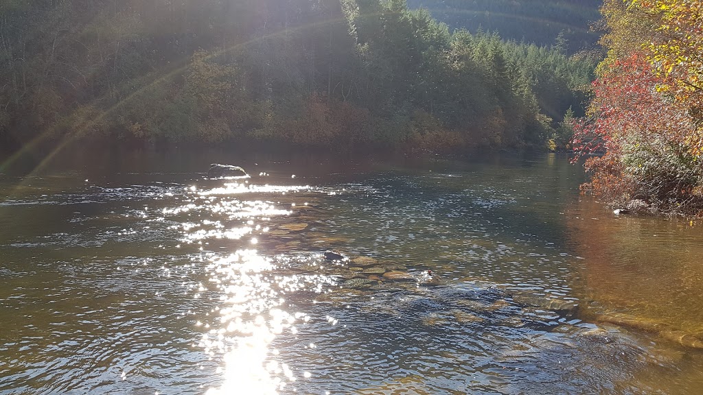 Nanaimo Lakes Deadwood Campground | Nanaimo River Rd, Nanaimo C, BC V0R 1V0, Canada | Phone: (250) 914-9525