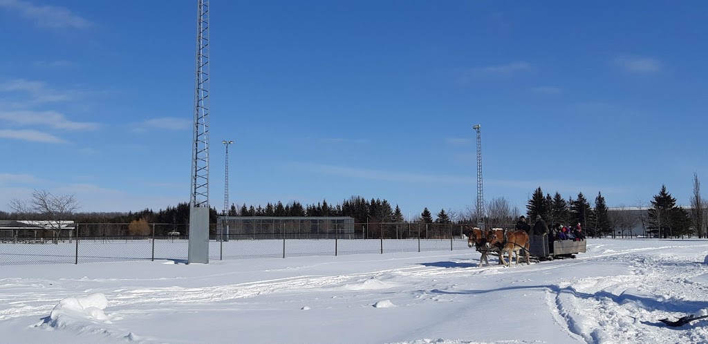 Tiverton & District Lions Clb | 61 Ross St, Tiverton, ON N0G 1T0, Canada | Phone: (519) 368-7660