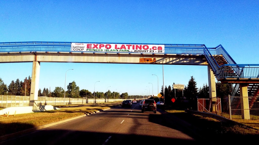 Dream Image Signs | Bay #7, 285059 Frontier Rd, Rocky View No. 44, AB T1X 0R4, Canada | Phone: (403) 516-6000