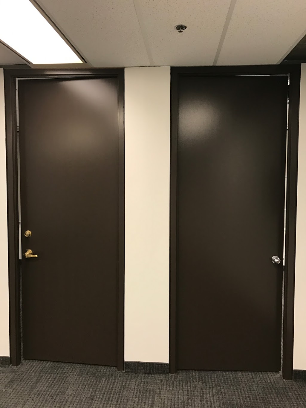 New starline painting Ltd. | 5 Vernet Crescent, Brampton, ON L6P 1Z6, Canada | Phone: (647) 409-1092
