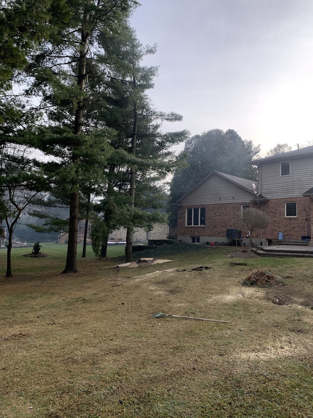 Sharpe Tree Service | 3020 River Dr, Wardsville, ON N0L 2N0, Canada | Phone: (519) 852-7061