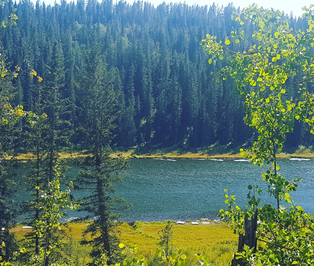 Wetland Gazebo | Montenaro Bay, Cochrane, AB T4C 0A5, Canada