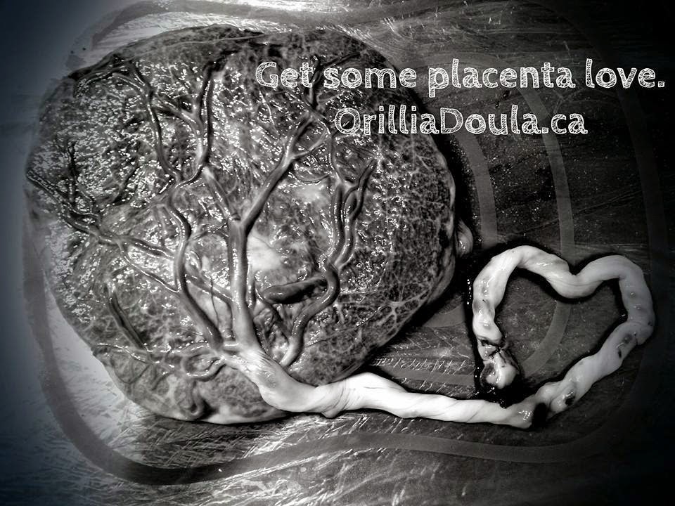Birthing Blessings Doula & Birth Services | 376 West Street N, Orillia, ON L3V 5E6, Canada | Phone: (705) 715-3100