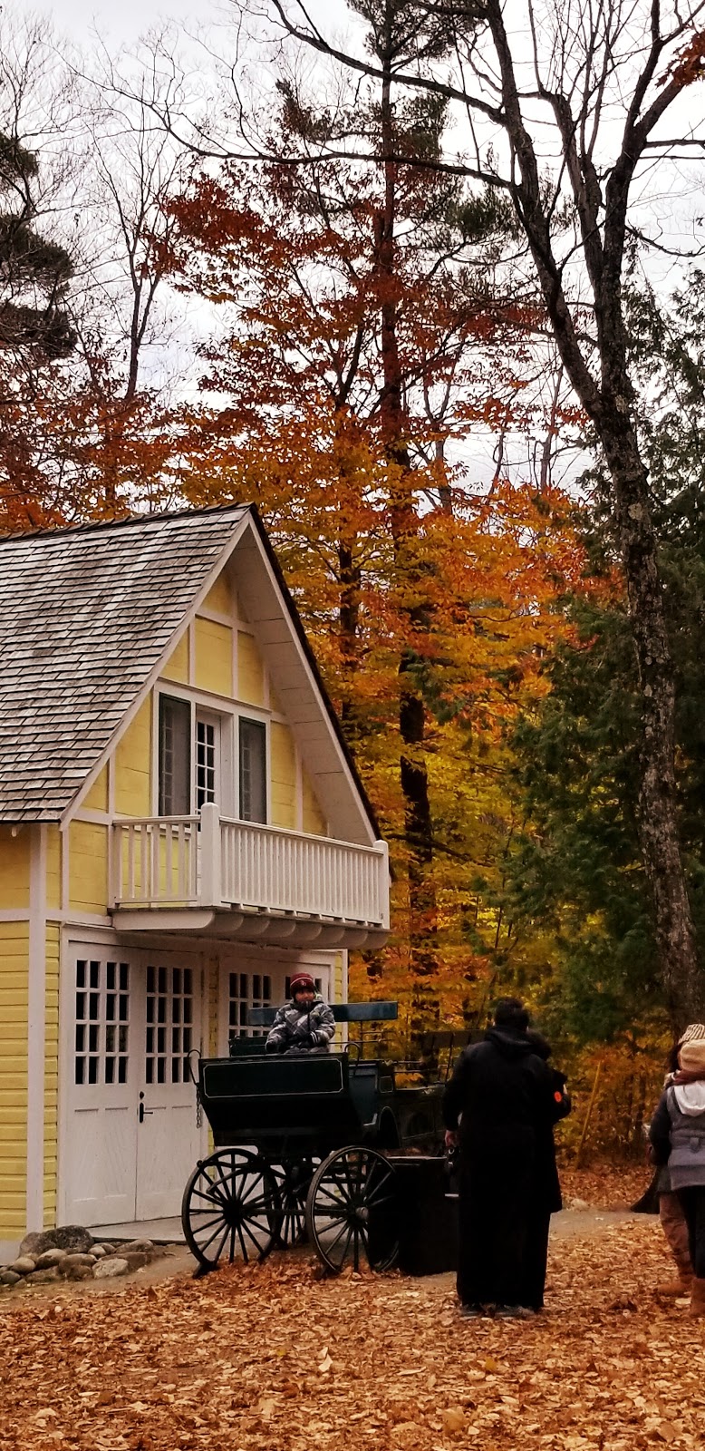 P6 Mackenzie King | Chemin MacKenzie King, Chelsea, QC J9B 1H7, Canada