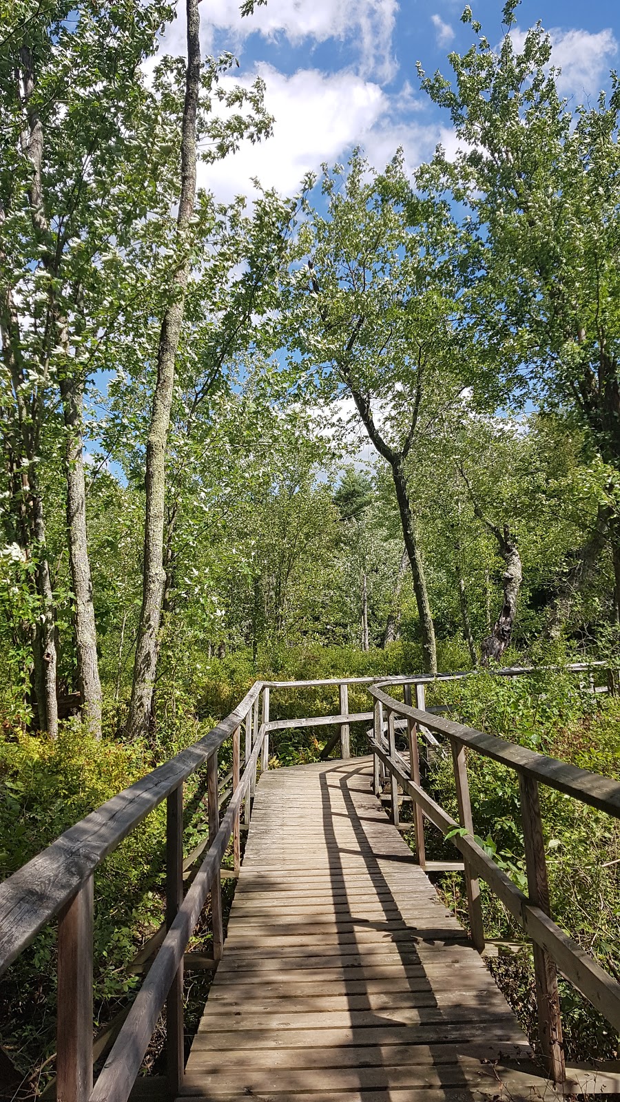 Frontenac Provincial Park | 6700 Salmon Lake Rd, Sydenham, ON K0H 2T0, Canada | Phone: (613) 376-3489