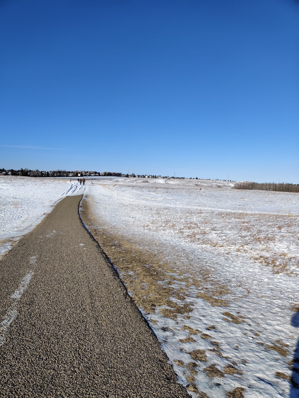 Glacial Erratic At Nose Hill | Northwest Calgary, Calgary, AB T3K 2P6, Canada | Phone: (403) 268-2489
