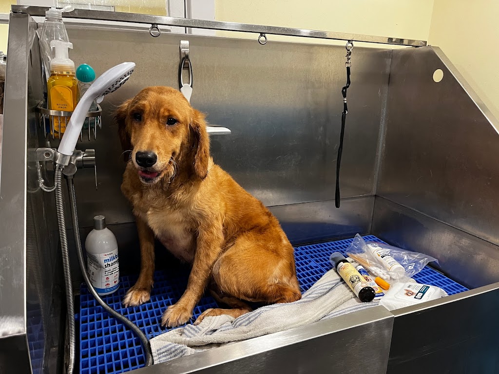 Paws n Passion Inc. | 2466 Rang de la Savane, Richelieu, QC J3L 6N8, Canada | Phone: (514) 612-4300