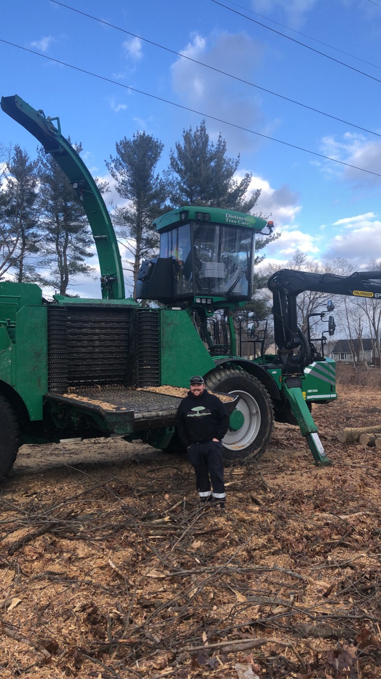 Tree Tech, Tree and Property Maintenance Specialists Inc. | 140 Clarke St, Mitchell, ON N0K 1N0, Canada | Phone: (519) 301-2058