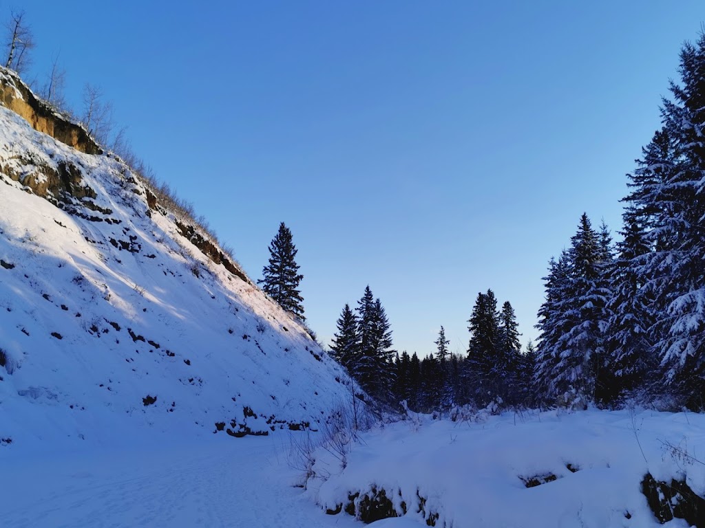 Whitemud Creek Ravine | Whitemud Dr NW, Edmonton, AB T6R 2V4, Canada | Phone: (780) 422-5311