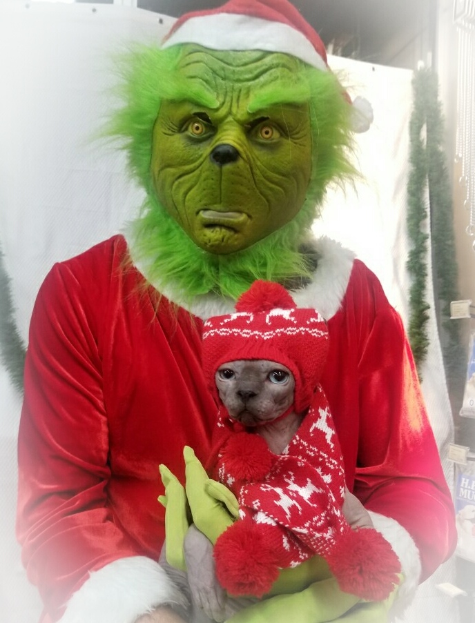 Pet Valu | 38 George St Unit 130, New Glasgow, NS B2H 2K1, Canada | Phone: (902) 752-7531