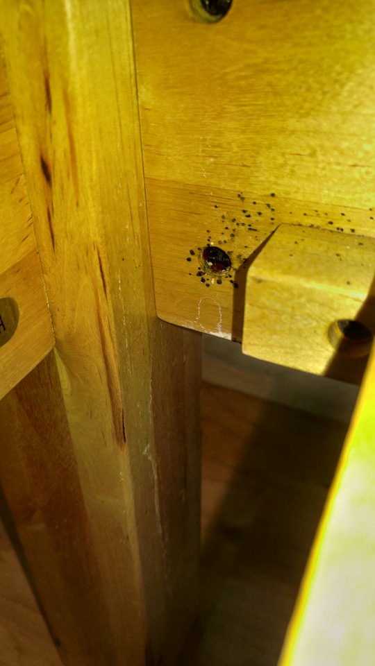 Well Done Pest Control | 857 Millworks Crescent, Mississauga, ON L5V 1C4, Canada | Phone: (647) 716-5589