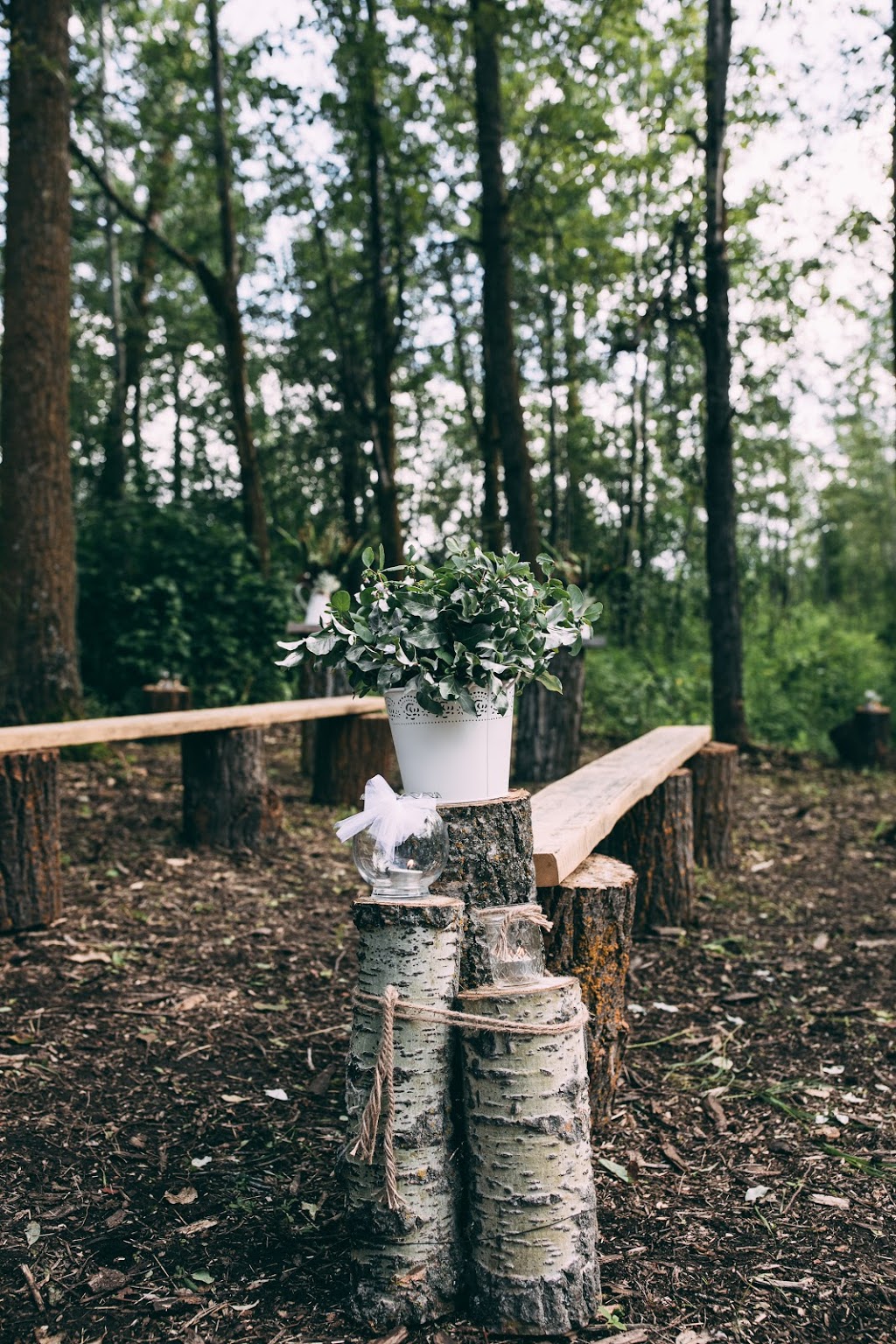Woodland Farms Weddings | 51106, Range Rd 191, Tofield, AB T0B 4J5, Canada | Phone: (780) 221-4057