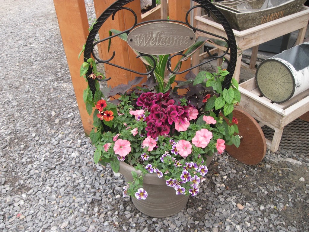 Mar-Wes Greenhouses | 15413B Highway 16 East, Yellowhead County, AB T7E 1V9, Canada | Phone: (780) 723-2403