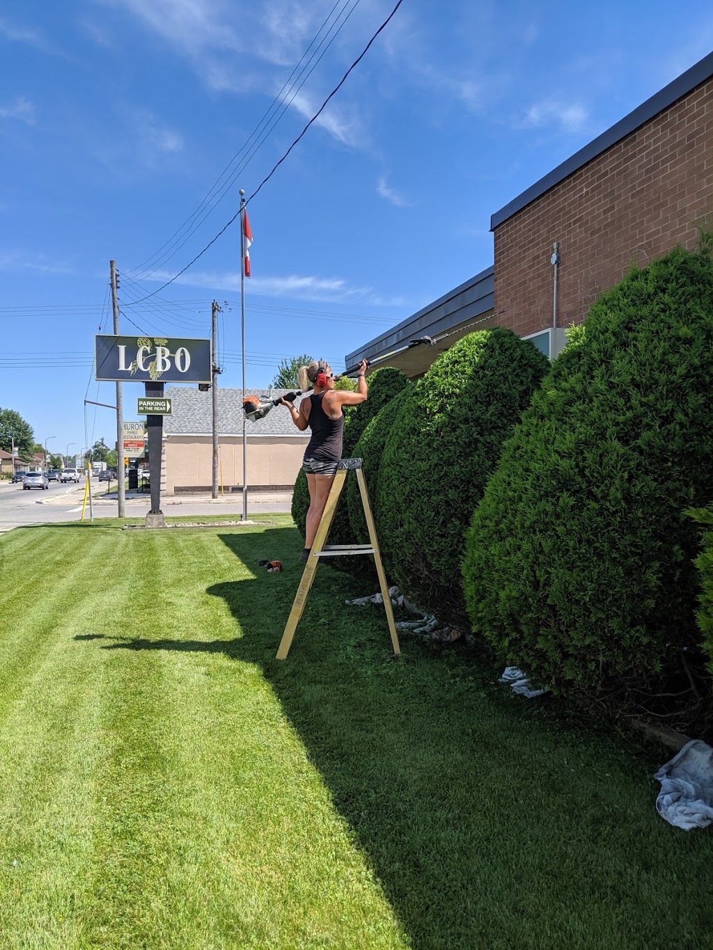 Caseys Lawn Care | 176 Francis St, Exeter, ON N0M 1S3, Canada | Phone: (519) 235-1885
