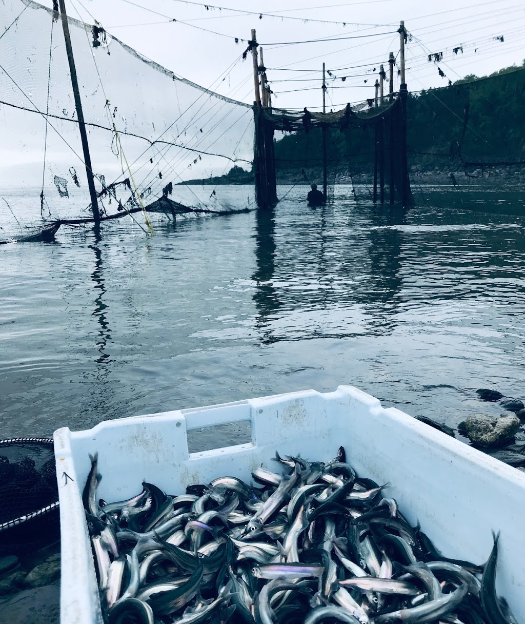 Pêcheries Charlevoix | 1845 Chemin de lAnse-au-Sac, Saint-Irénée, QC G0T 1V0, Canada | Phone: (418) 808-4224