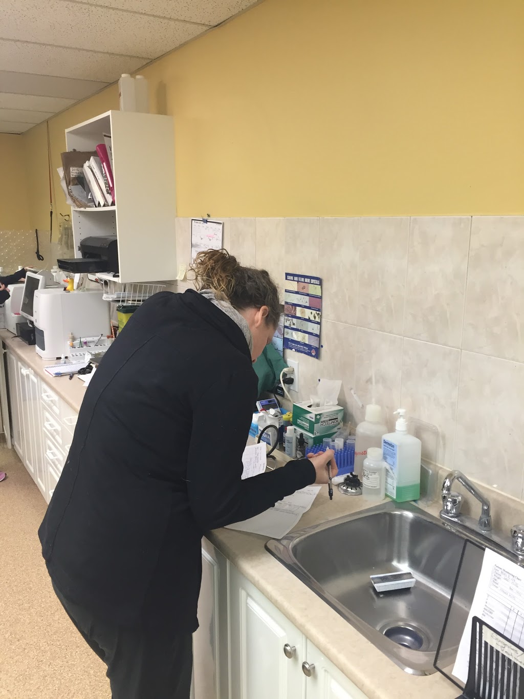 Sears Animal Hospital & Pet Rehabilitation | 87 Wharncliffe Rd S, London, ON N6J 2K2, Canada | Phone: (519) 661-0496