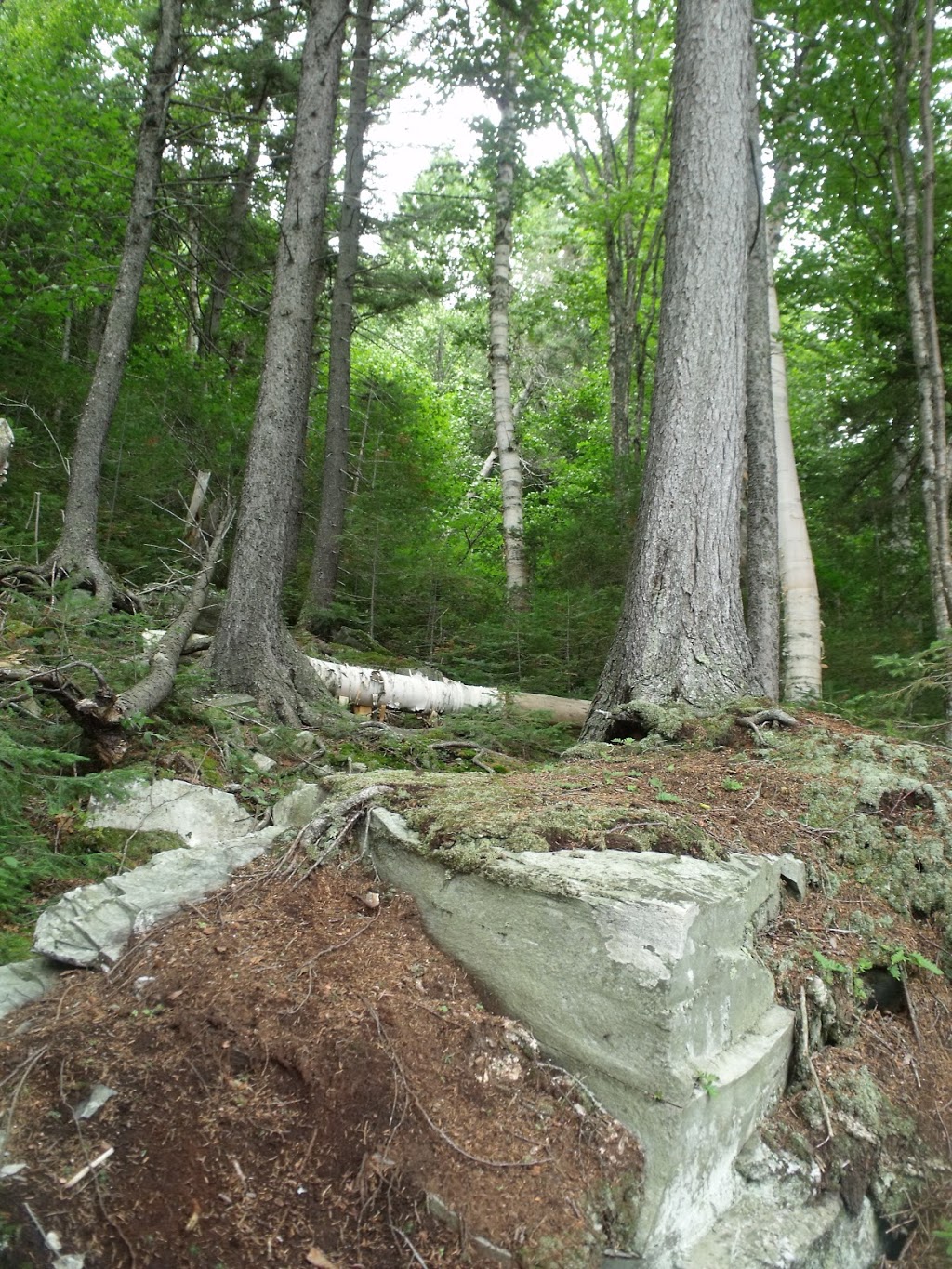 Trails Mount Bélanger | Sentiers mont Bélanger, Saint-Robert-Bellarmin, QC G0M 2E0, Canada | Phone: (418) 313-2046