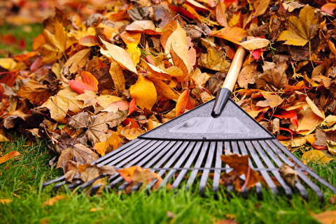 VIP Lawn Service | 7 Tower St, Dieppe, NB E1A 2G6, Canada | Phone: (506) 740-7537