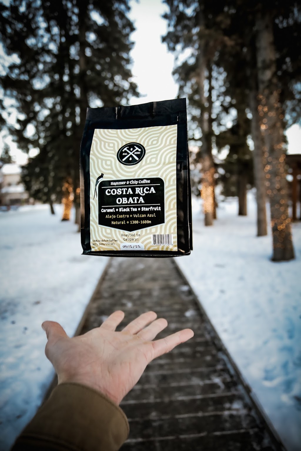 Hammer and Chip Coffee | 4915 35 Ave SW #23, Calgary, AB T3E 6K9, Canada | Phone: (403) 852-1426