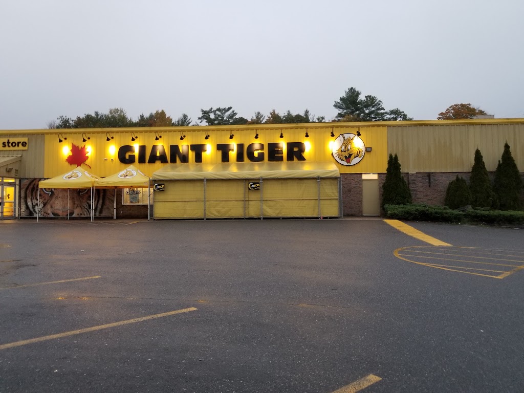 Giant Tiger | 1190 Muskoka Rd S, Gravenhurst, ON P1P 1K9, Canada | Phone: (705) 684-9751
