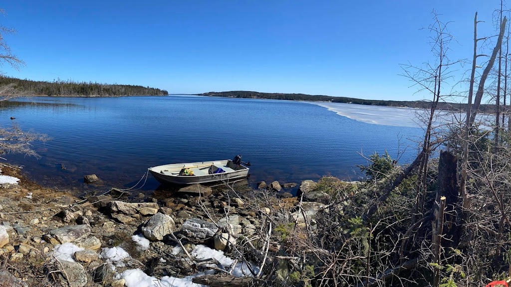 Sean Ashe Forestry | 1940 NS-211, Sherbrooke, NS B0J 3C0, Canada | Phone: (902) 318-0066