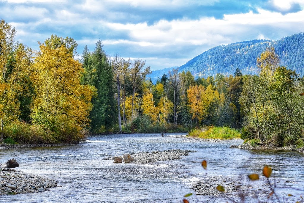 Tsútswecw (Roderick Haig-Brown) Provincial Park | Columbia-Shuswap F, BC V0E, Canada | Phone: (250) 320-9305