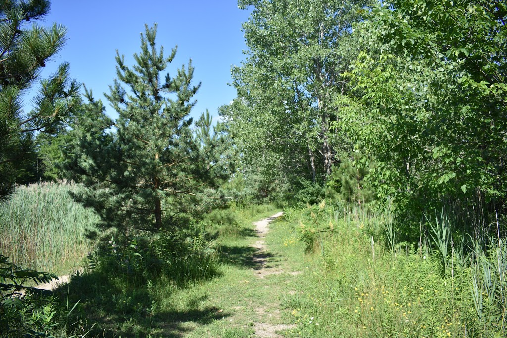 Marthaville Habitat Management Area | 4749 Marthaville Rd, Petrolia, ON N0N 1R0, Canada