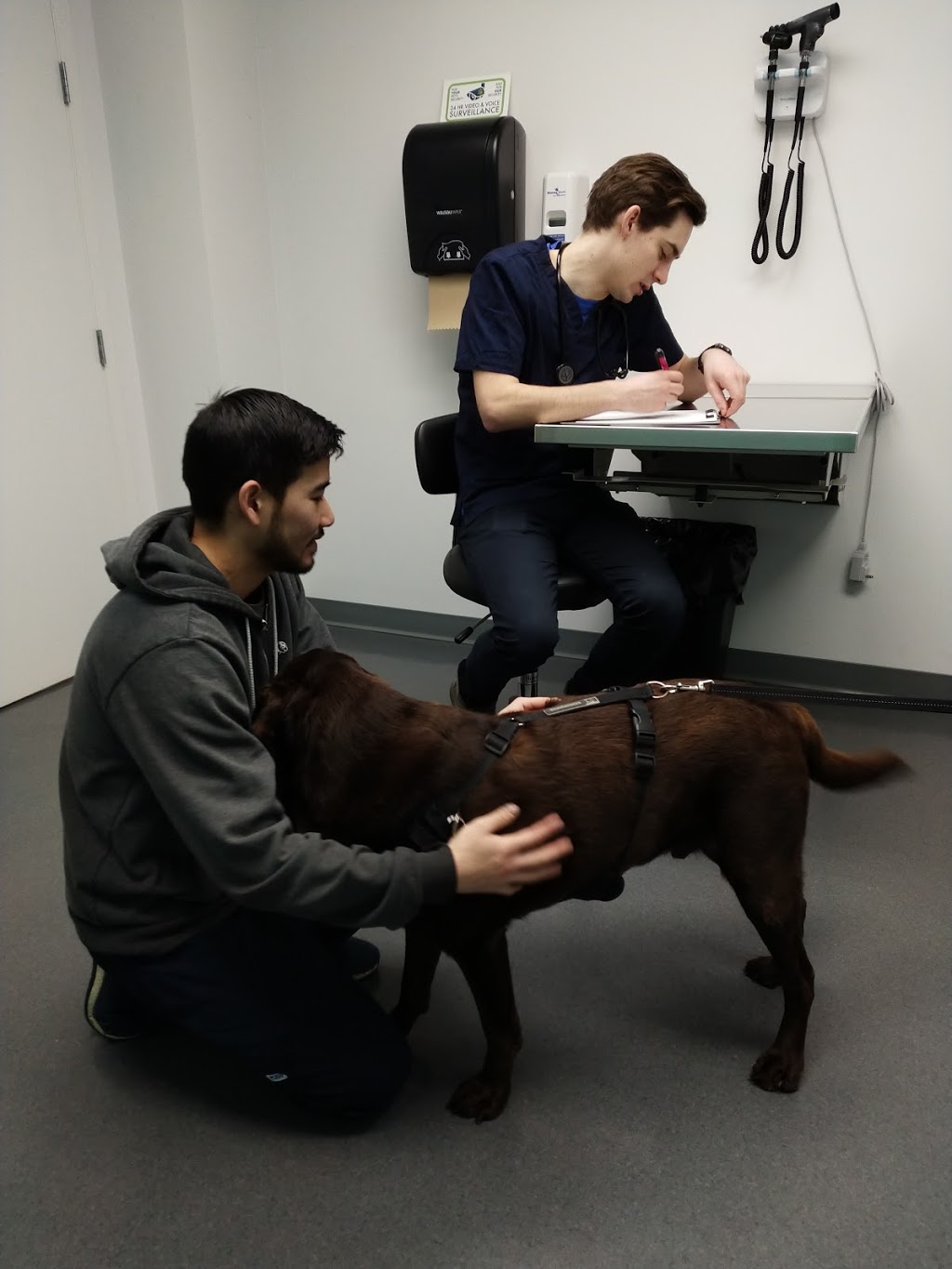 RAPS Animal Hospital | 13340 Smallwood Pl #205, Richmond, BC V6V 1W8, Canada | Phone: (604) 242-1666