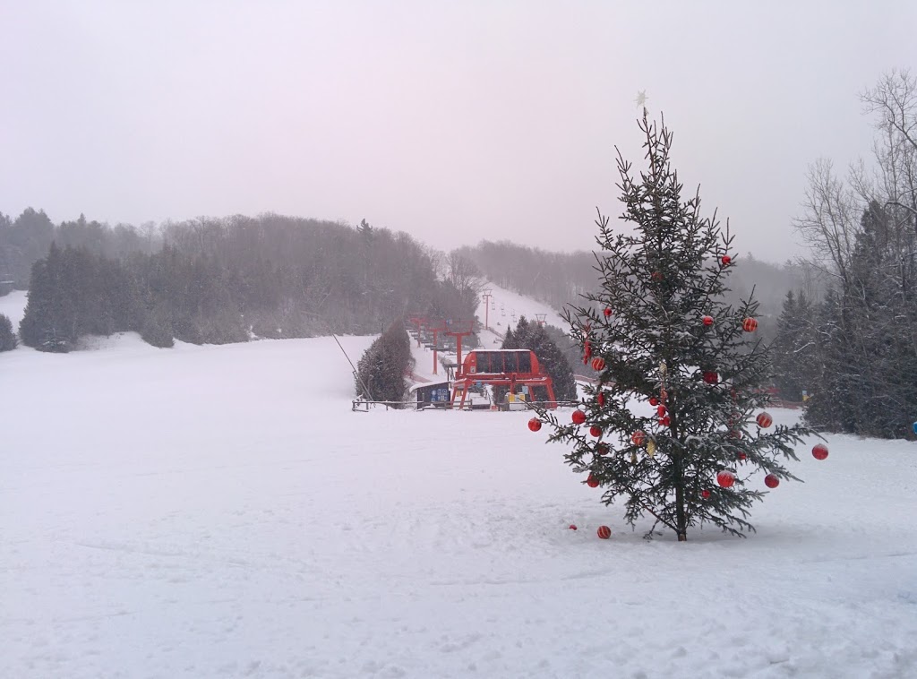 Devil’s Elbow Ski Area | 878 Bethany Hills Rd, Bethany, ON L0A 1A0, Canada | Phone: (705) 277-2012