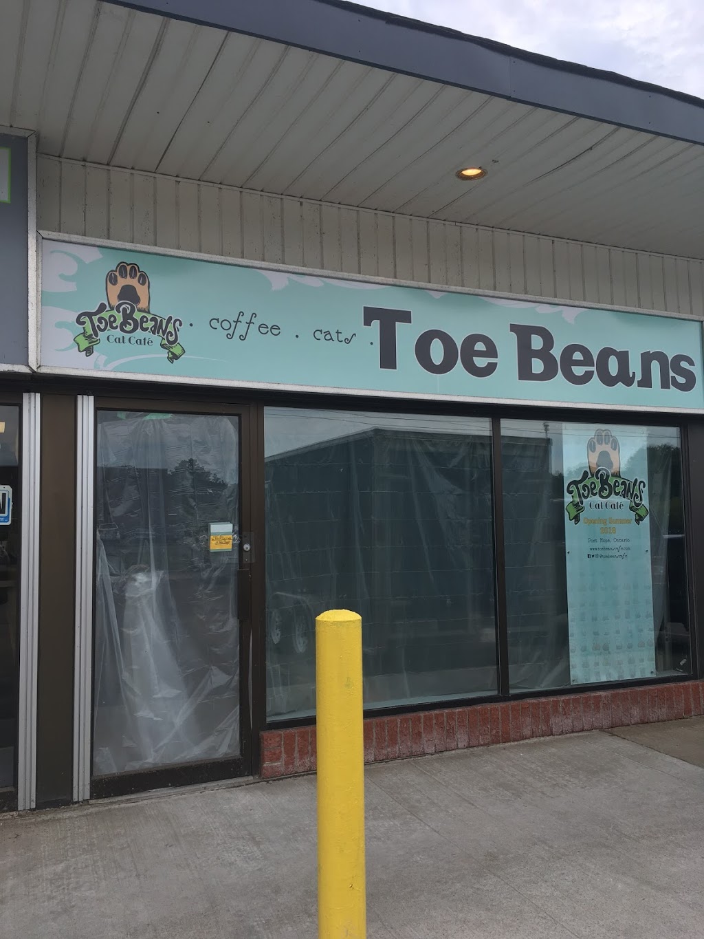 Toe Beans Cat Cafe | cafe | 119 Peter St, Port Hope, ON L1A 1C5, Canada | 9058001050 OR +1 905-800-1050