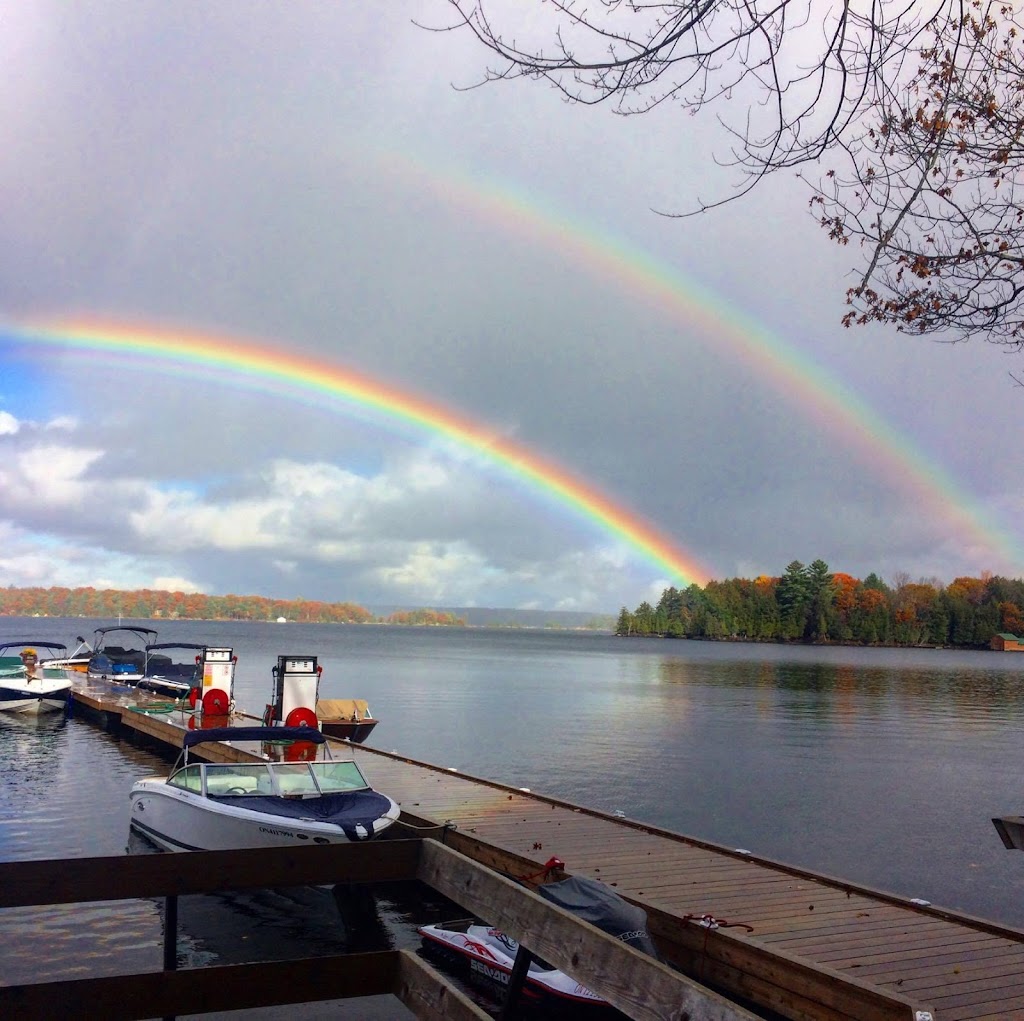 Walkers Point Marina | 1035 Marina Rd, Gravenhurst, ON P1P 1R2, Canada | Phone: (705) 687-7793
