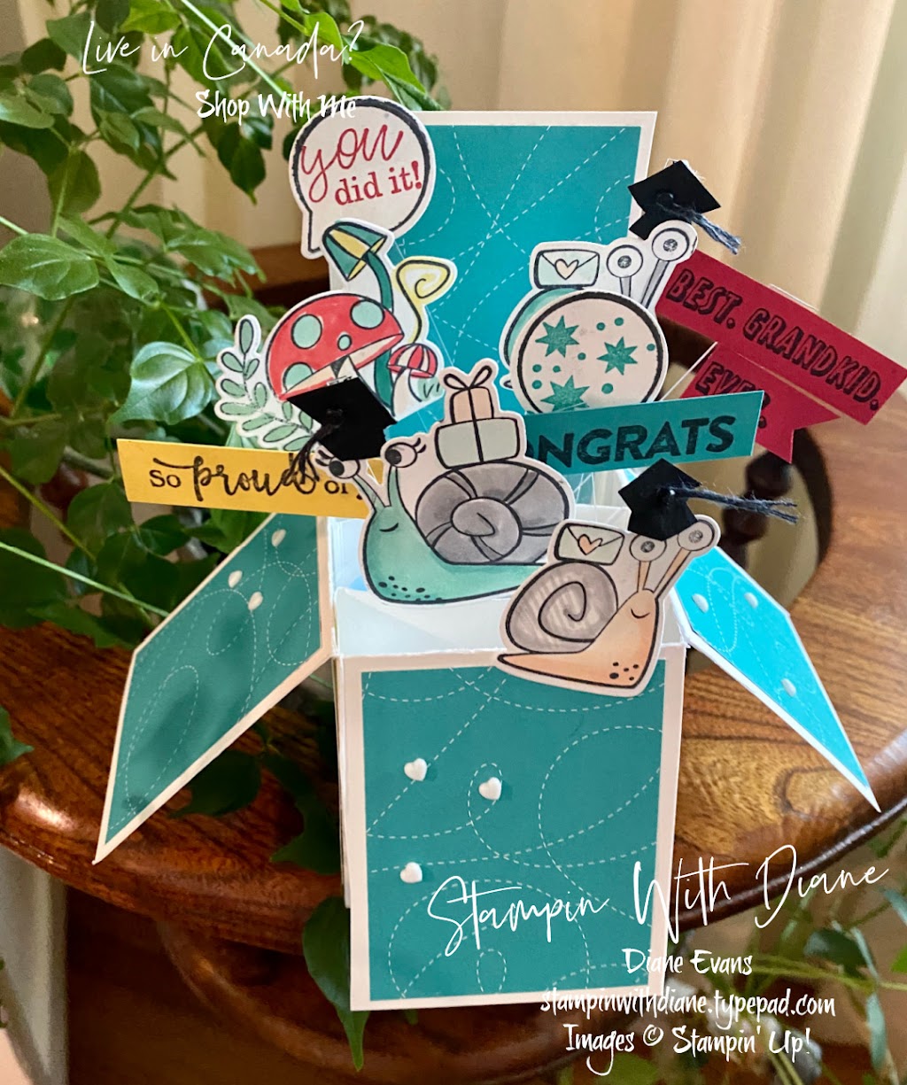 Stampin With Diane | 660 Porterfield Rd, Kamloops, BC V2B 6M6, Canada | Phone: (250) 574-9519