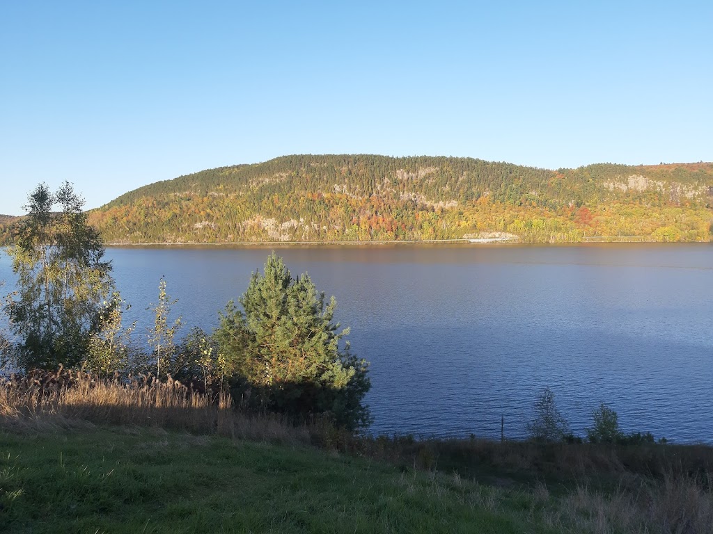 Observation de lours noir | 2369 Chem. de Saint-Jean-des-Piles, Saint-Jean-des-Piles, QC G0X 2V0, Canada | Phone: (819) 538-2112