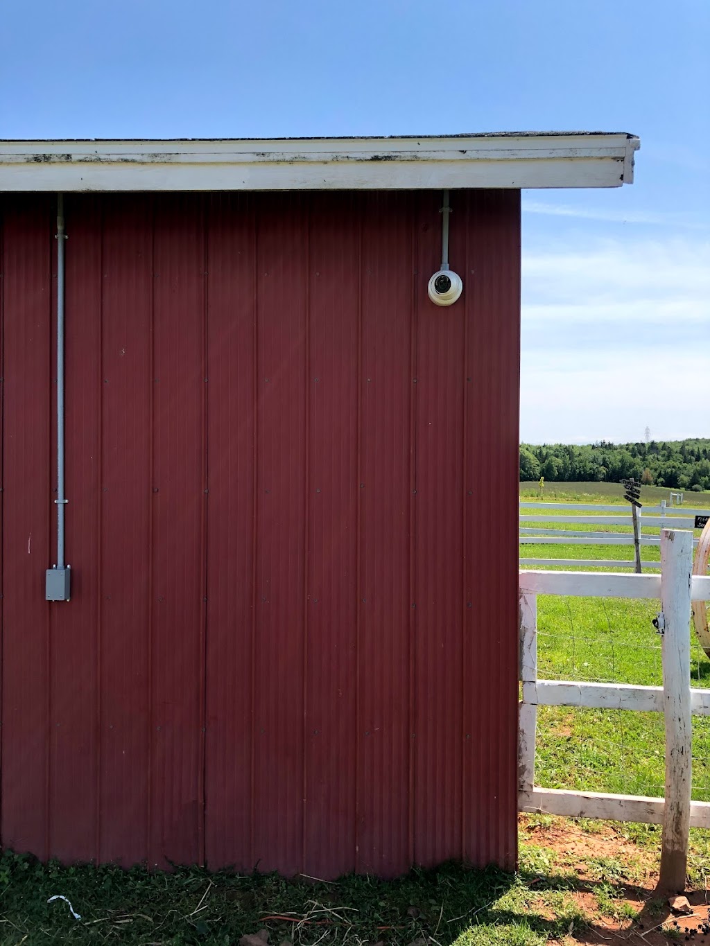 Signal Solutions | 9611 St Peters Rd, Mount Stewart, PE C0A 1T0, Canada | Phone: (902) 418-7980