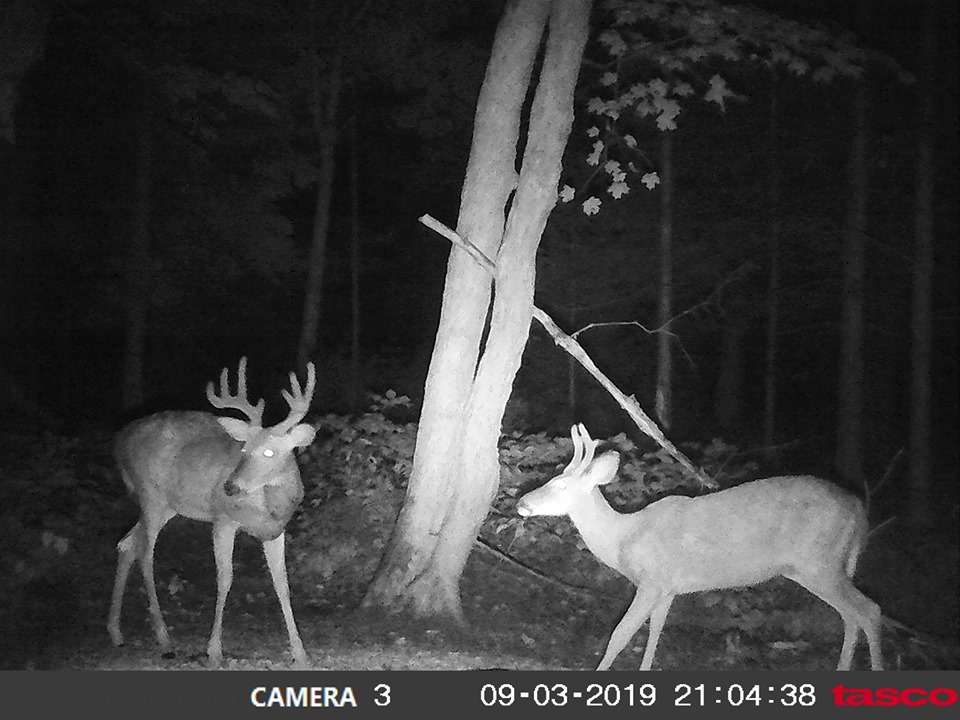 Hardwoods and Swamps Outfitters | 3239 Kushog Lake Rd, Algonquin Highlands, ON K0M 1J2, Canada | Phone: (705) 306-2916