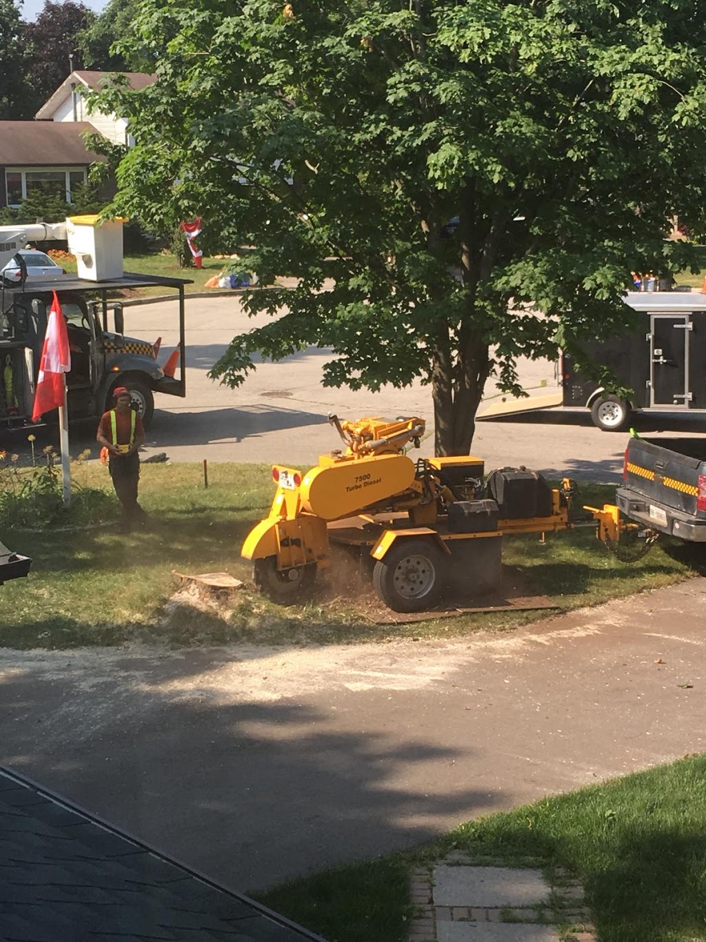 Arbor Tech Tree Care | 2360 Brock St, Manilla, ON K0M 2J0, Canada | Phone: (800) 327-3653