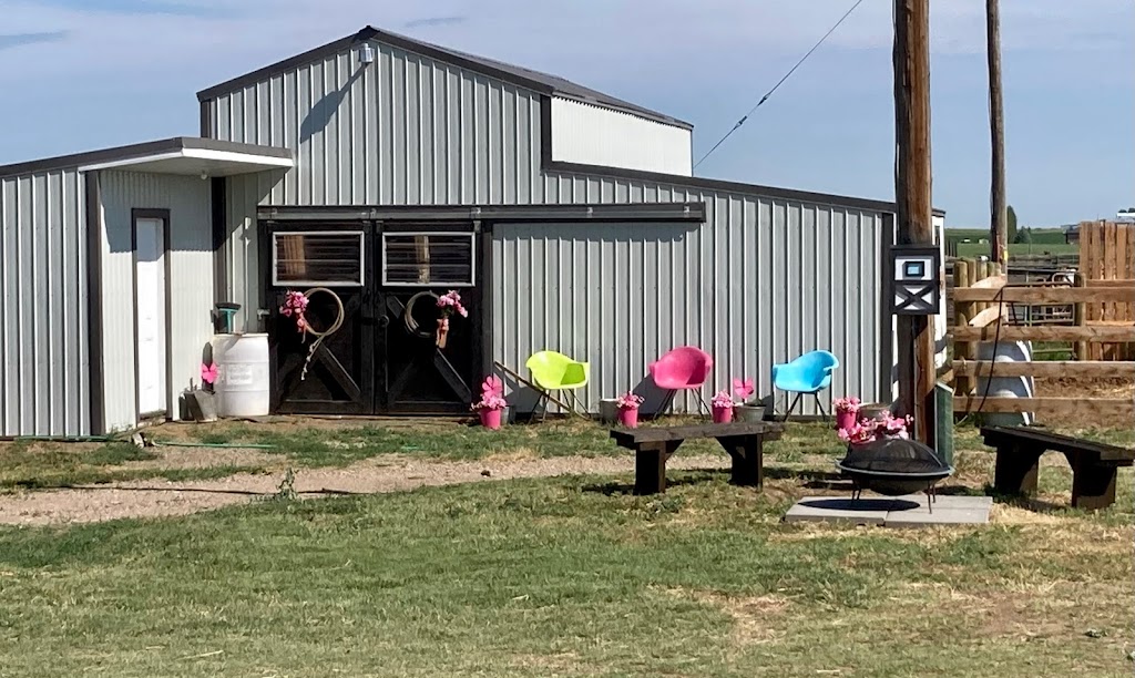Feather Ranch Equine | Range Rd 163, Taber, AB T1G 2E1, Canada | Phone: (403) 331-9203