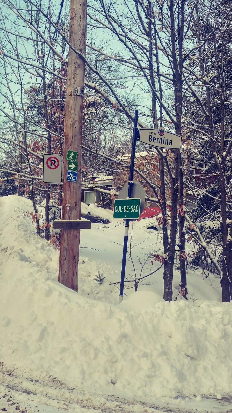 Chantecler P3 | 1609 Rue de Bernina, Sainte-Adèle, QC J8B 2Z7, Canada