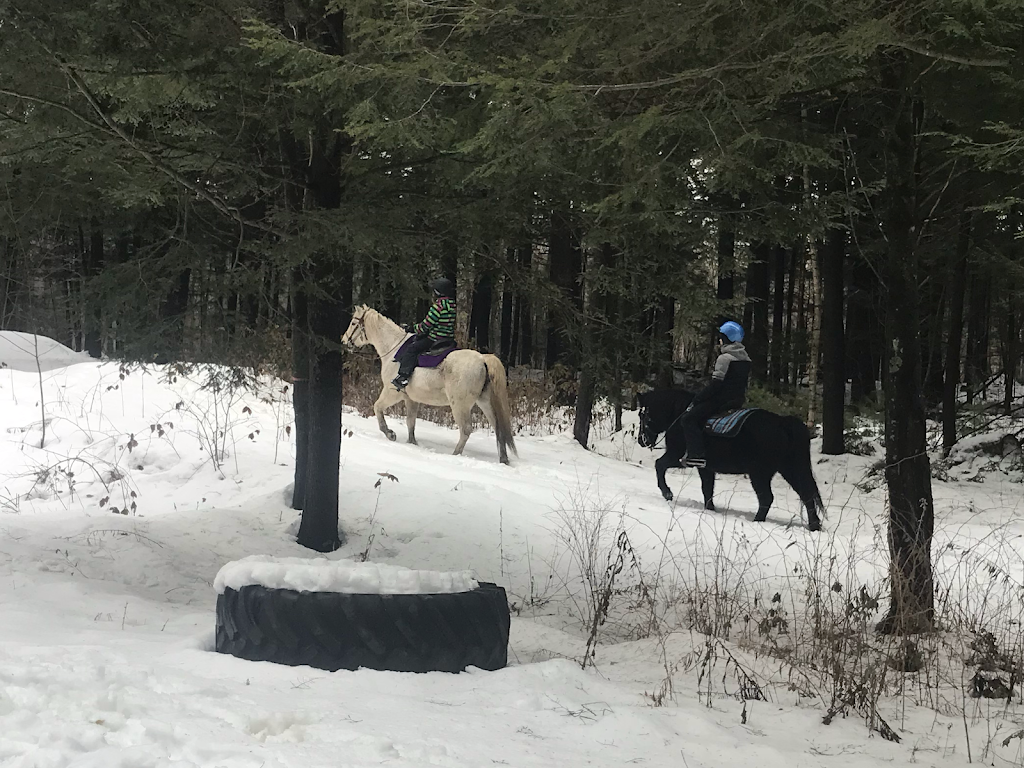 Ranch Des Petits Amis Inc (Le) | 273 Rue Edgar, Sainte-Hélène-de-Bagot, QC J0H 1M0, Canada | Phone: (450) 791-2239