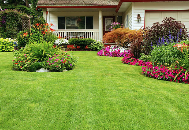 Green Clover Landscaping | 17823 Mt Hope Rd, Palgrave, ON L7E 0G3, Canada | Phone: (416) 465-1500
