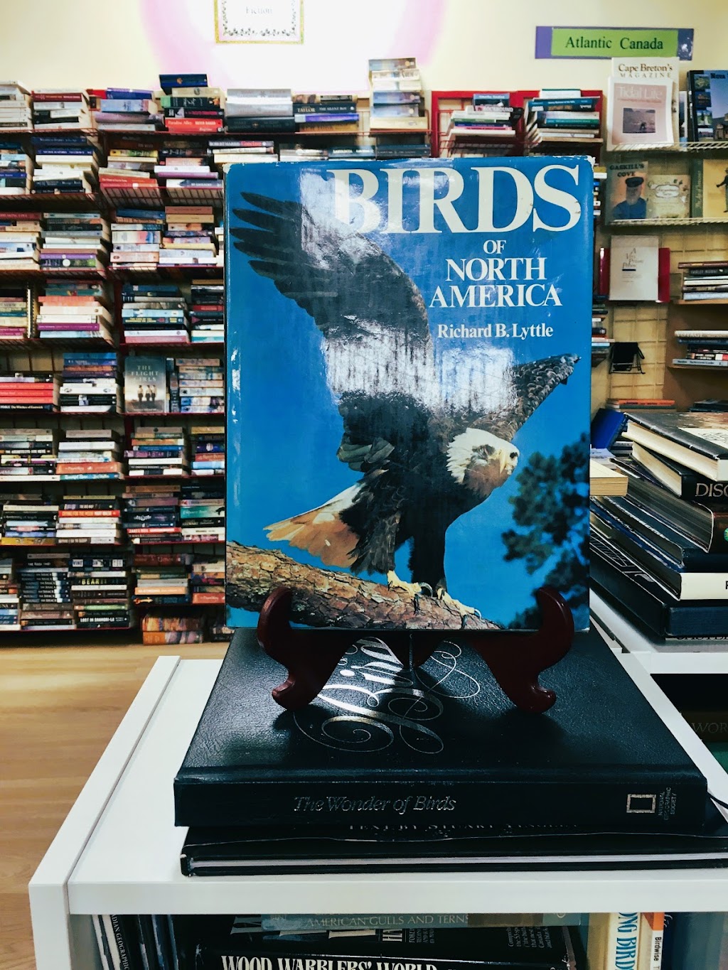 Capricorn Books | Next to Tim Hortons, 117 Kearney Lake Rd Unit 4, Halifax, NS B3M 4N9, Canada | Phone: (902) 445-5003