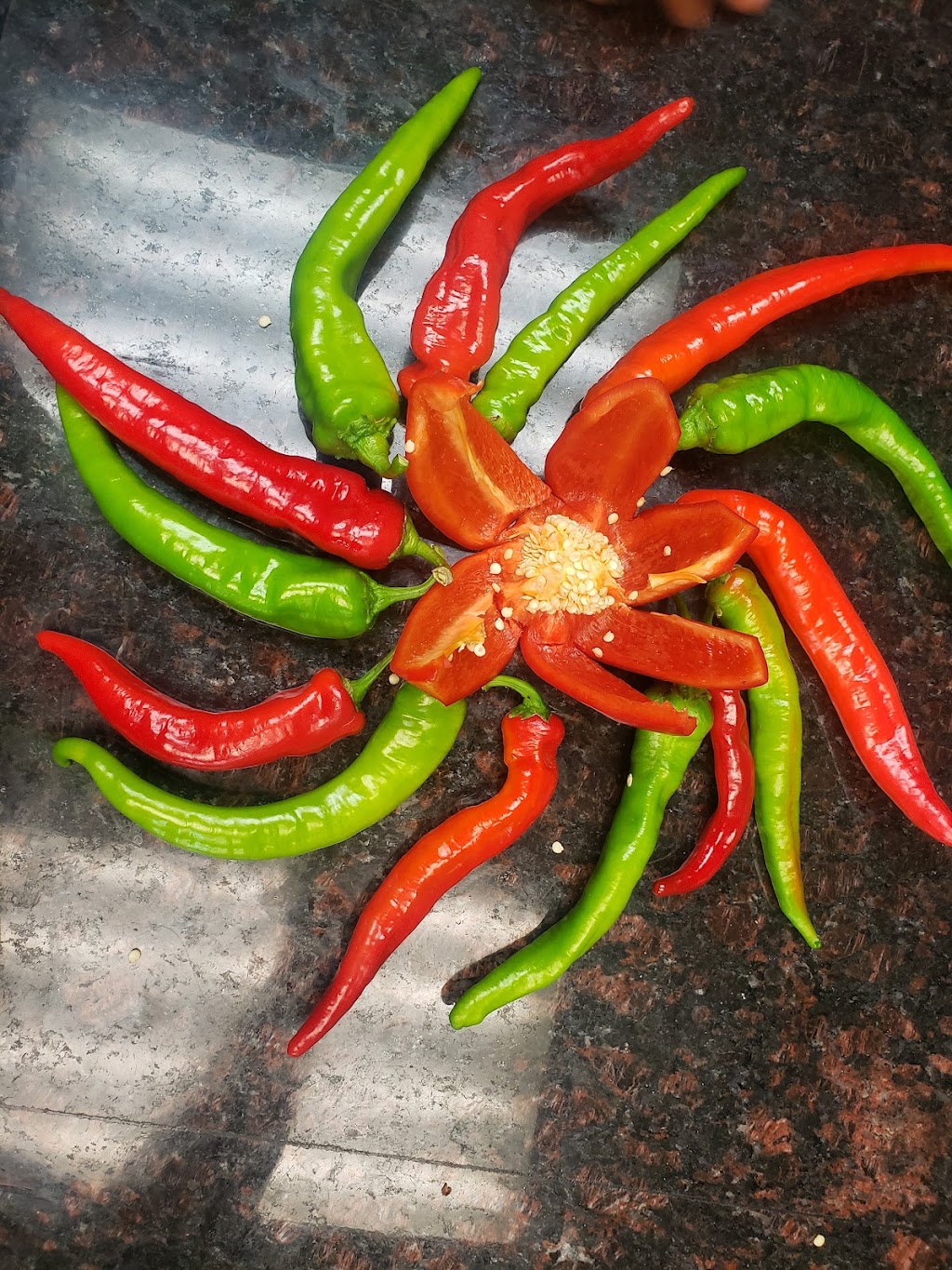 Veggie Palace EL-AKDY | 9026 132 Ave NW, Edmonton, AB T5E 0Y2, Canada | Phone: (780) 700-2622