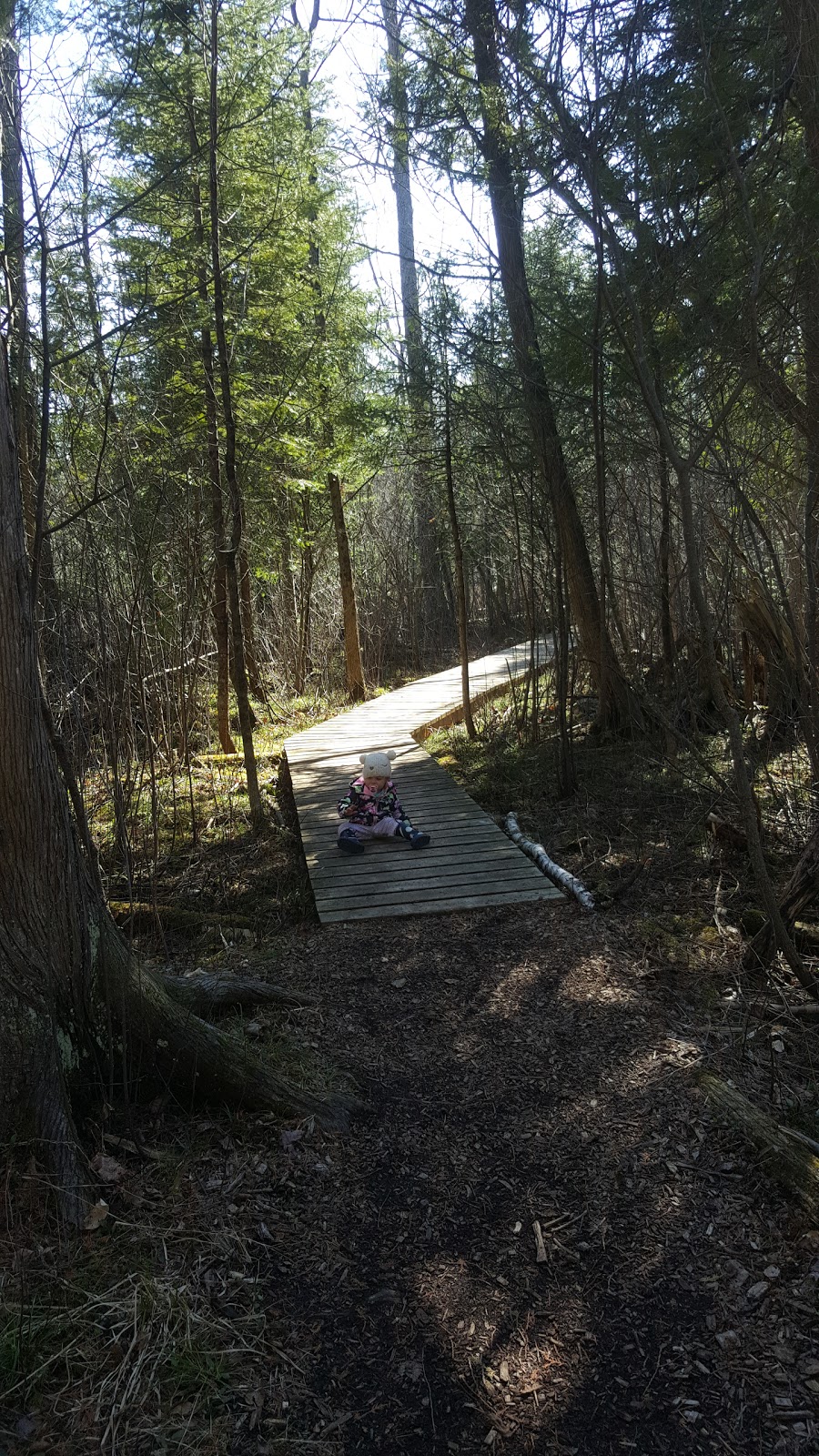 Macnamara Nature Trail | 284 McNab St #206, Arnprior, ON K7S 3T2, Canada