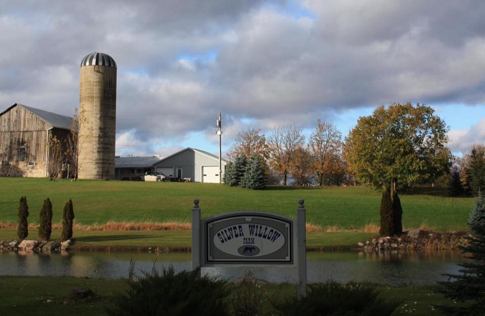 Silver Willow Farm Rescue | 528375, Side Rd 5, Mansfield, ON L0N 1M0, Canada | Phone: (705) 440-6160